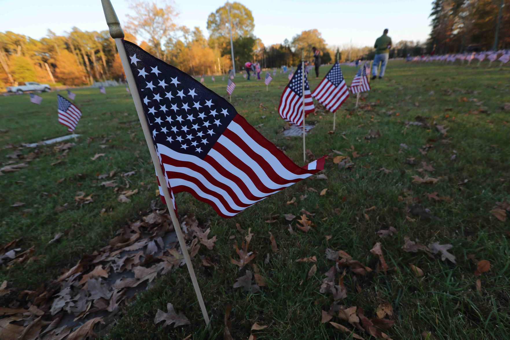 Scouts planted American Flags ahead of Veterans Day